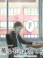 旧物改造家 生活服务综艺免费观看
